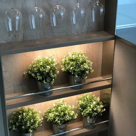 C-apartment Zabarella Terrace